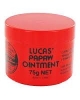 LUCAS PAPAW OINT 75G - Click for more info